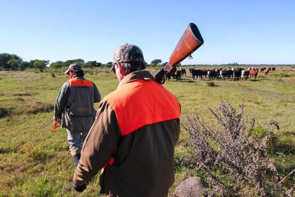 Short drives to the field